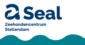 A Seal Stellendam